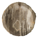 Petrified Wood Bowl