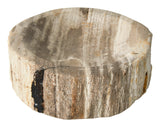 Petrified Wood Bowl