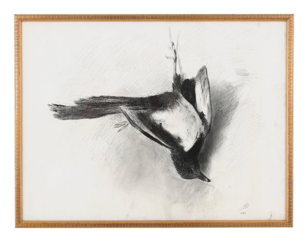 Antique Framed Bird Study I