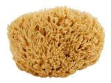 Sea Wool Sponge