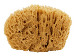 Sea Wool Sponge