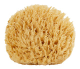 Sea Wool Sponge