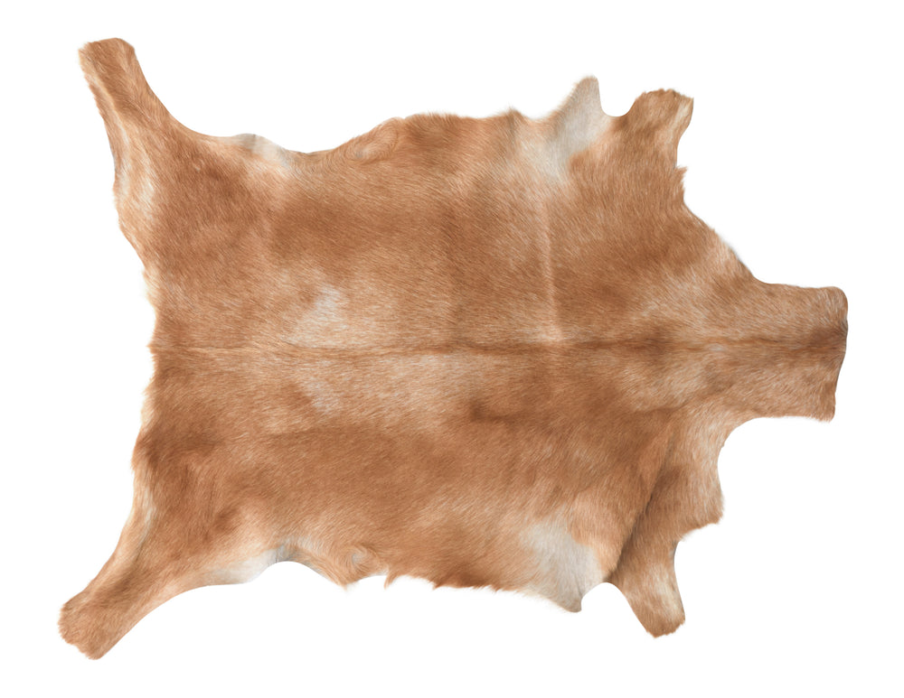 Goatskin Hide