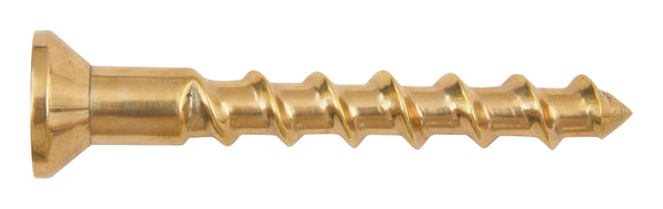 Big Brass Screw