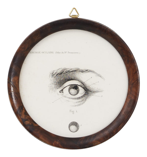 Antique Framed Eye Study I