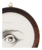 Antique Framed Eye Study I