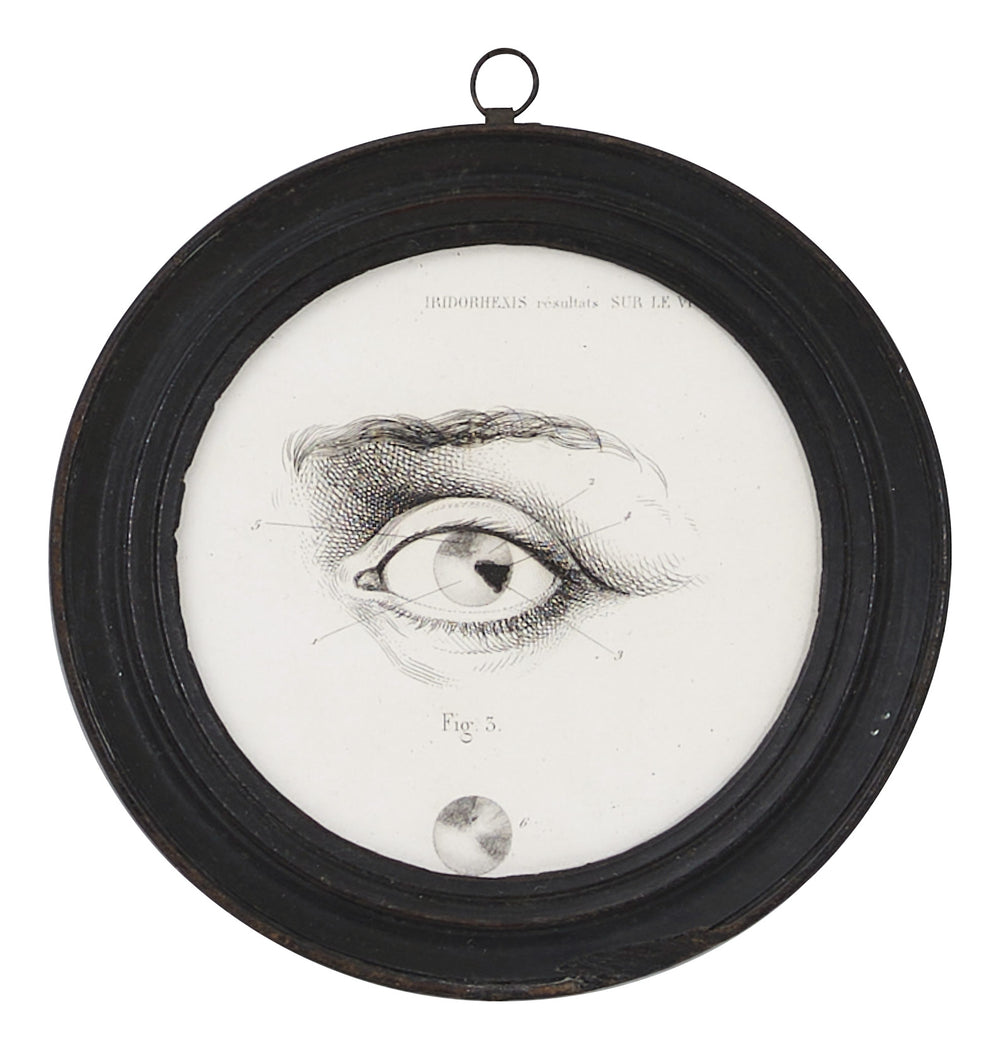 Antique Framed Eye Study II