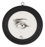 Antique Framed Eye Study II