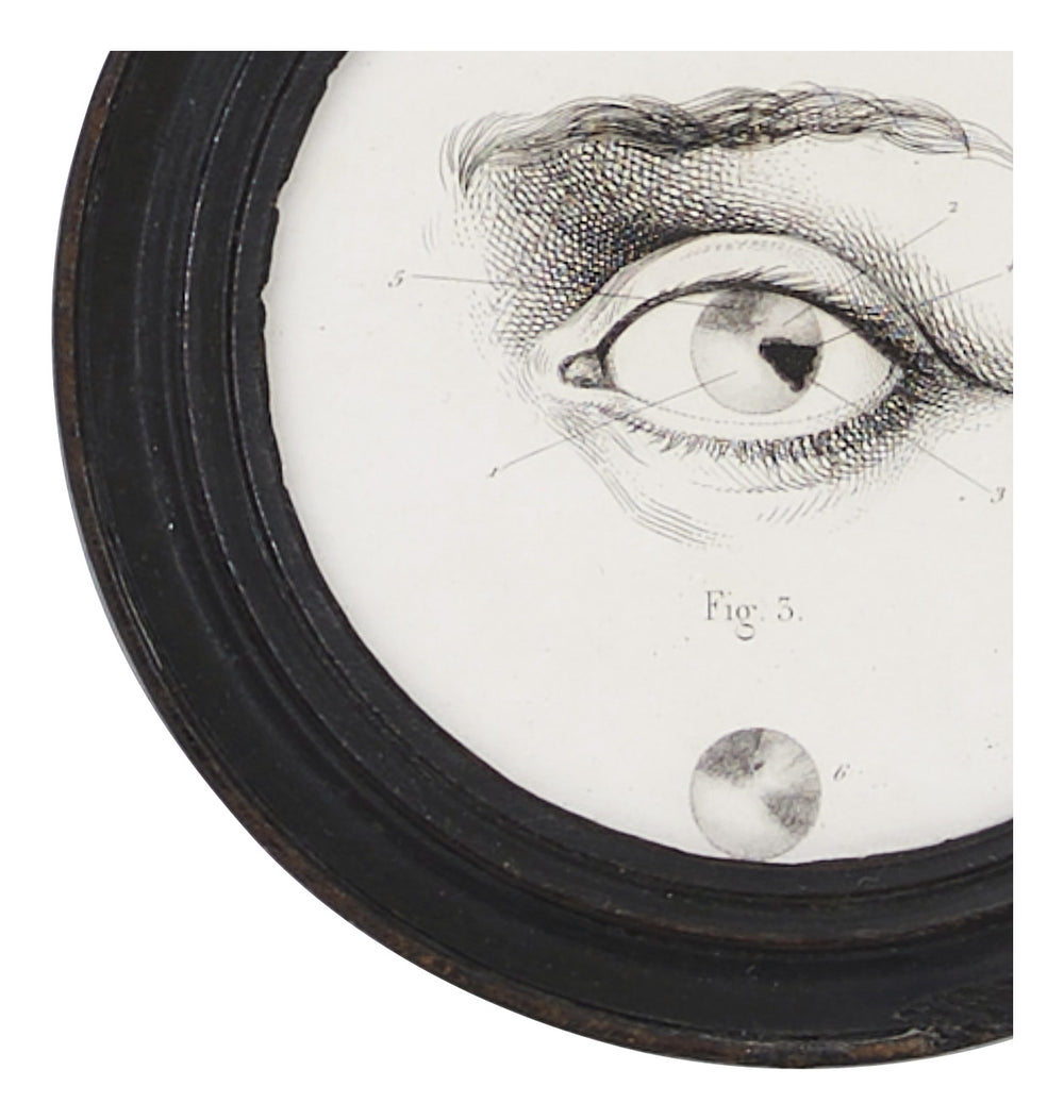 Antique Framed Eye Study II