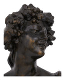 Antique Bacchus Plaster Bust