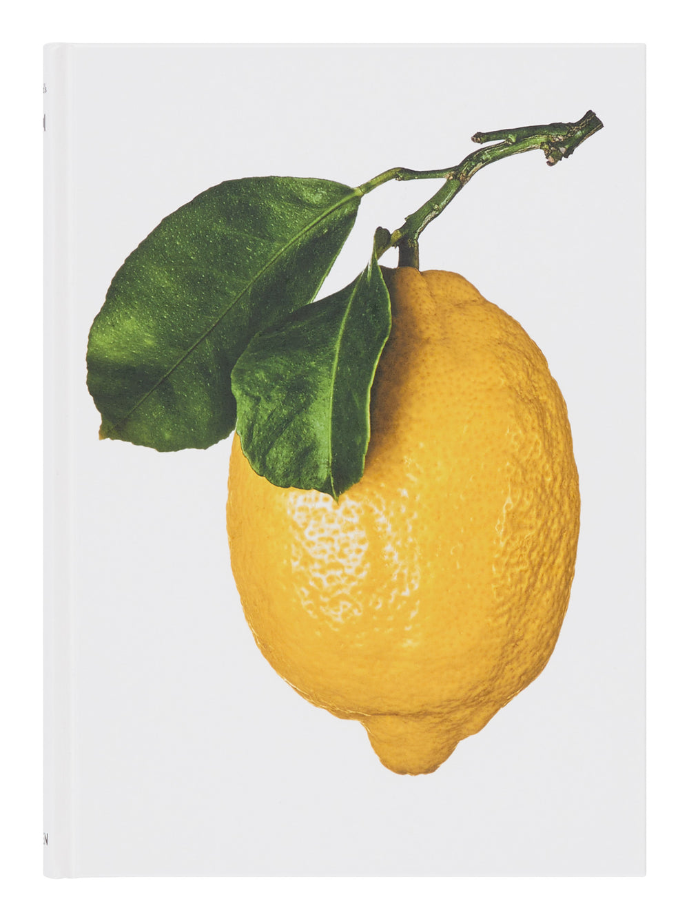  Dive into the cultural and culinary legacy of the lemon in The Gourmand’s Lemon: A Collection of Stories and Recipes, featuring essays on its historical and artistic significance, vibrant illustrations from renowned artists, and sixty delicious recipes from savory dishes to sweet treats and drinks.