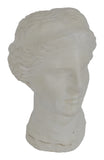 Vintage Plaster Bust