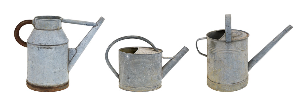 Vintage French Watering Cans