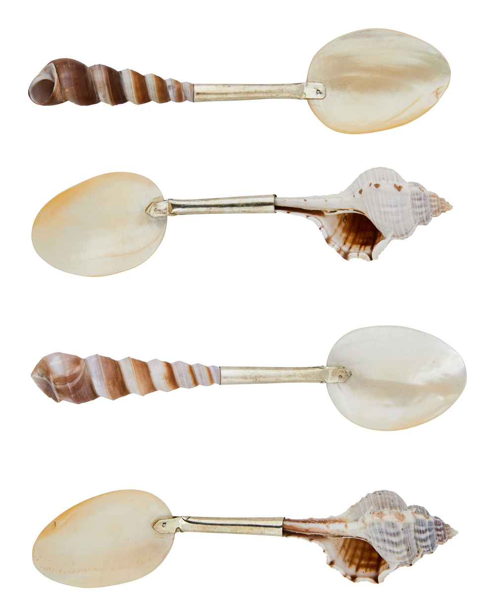 Shell Spoons