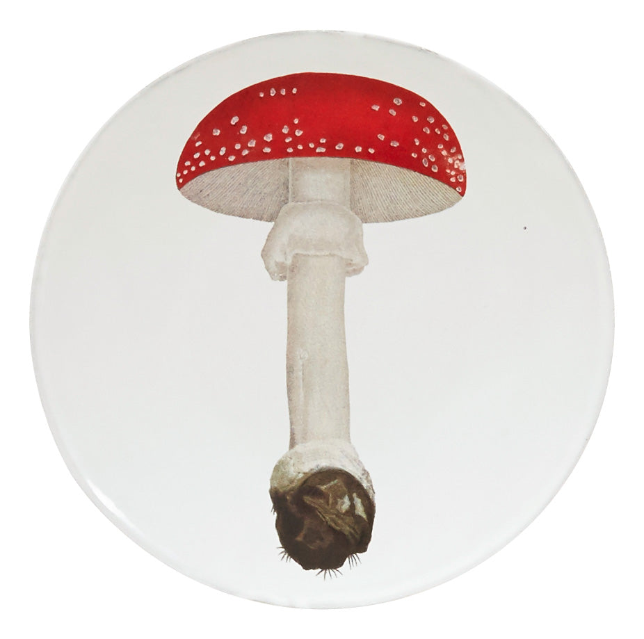 Astier de Villatte Agaric Fausse Plate