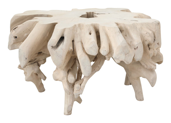 Small Bleached Teak Root Coffee Table