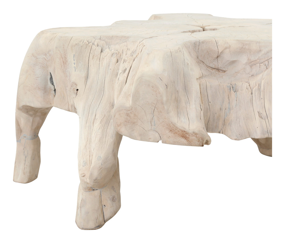 Large Bleached Teak Root Coffee Table