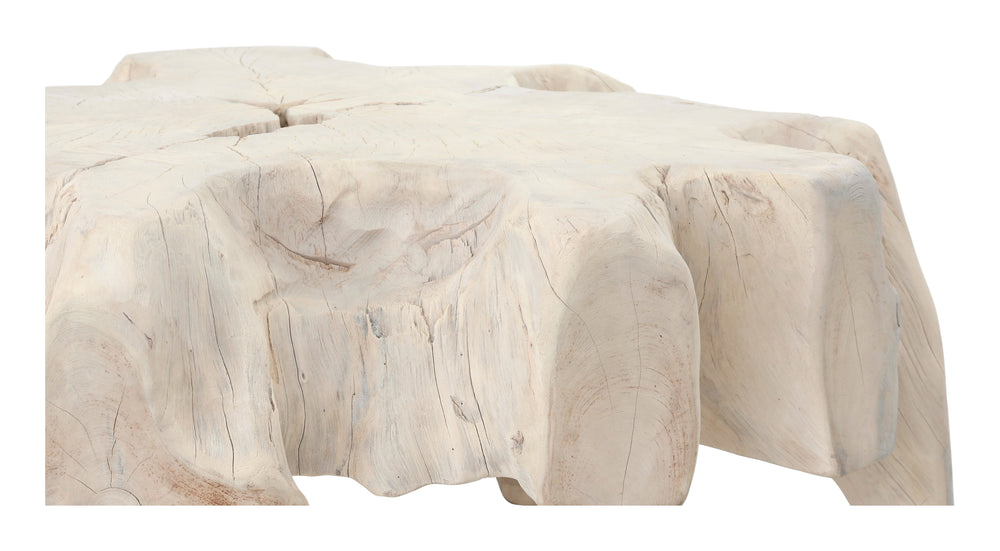 Large Bleached Teak Root Coffee Table