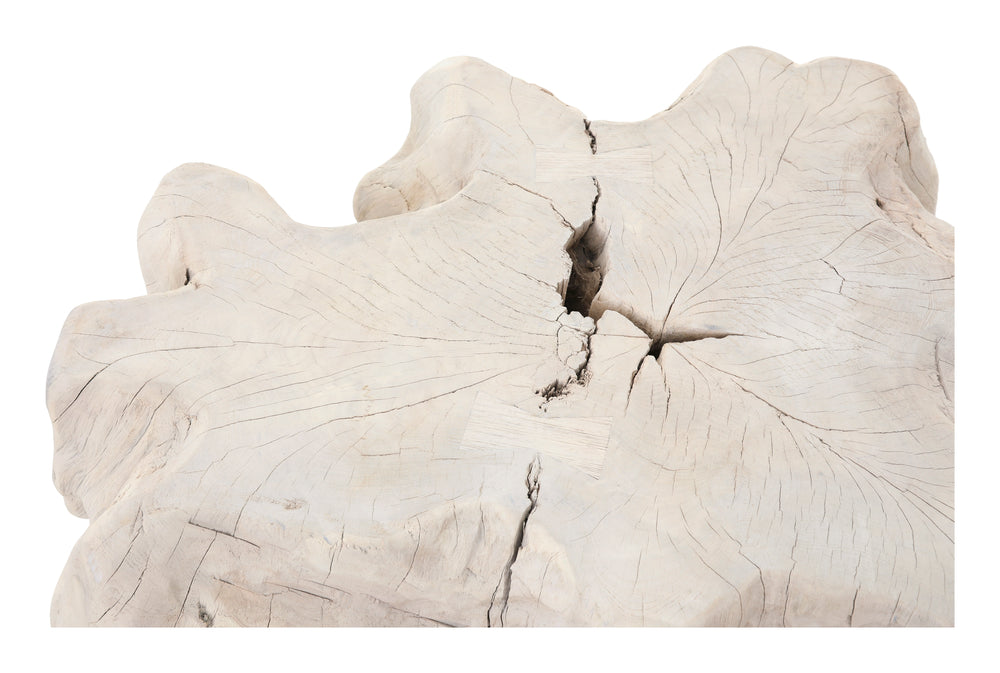 Large Bleached Teak Root Coffee Table