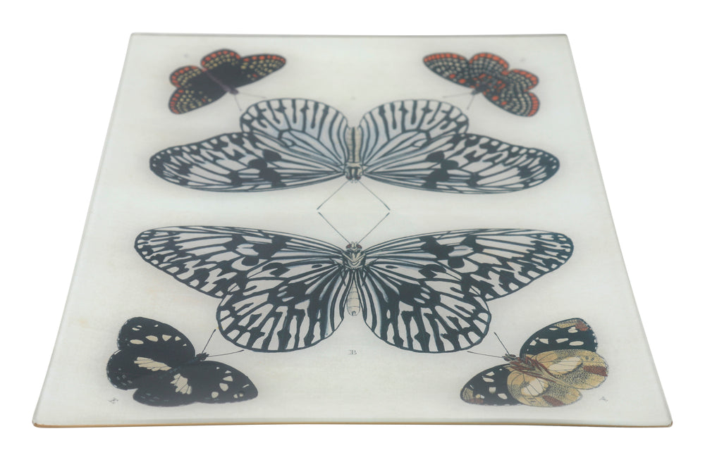 Mirrored Butterfly Tray