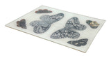 Mirrored Butterfly Tray