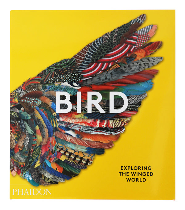 Bird: Exploring the Winged World