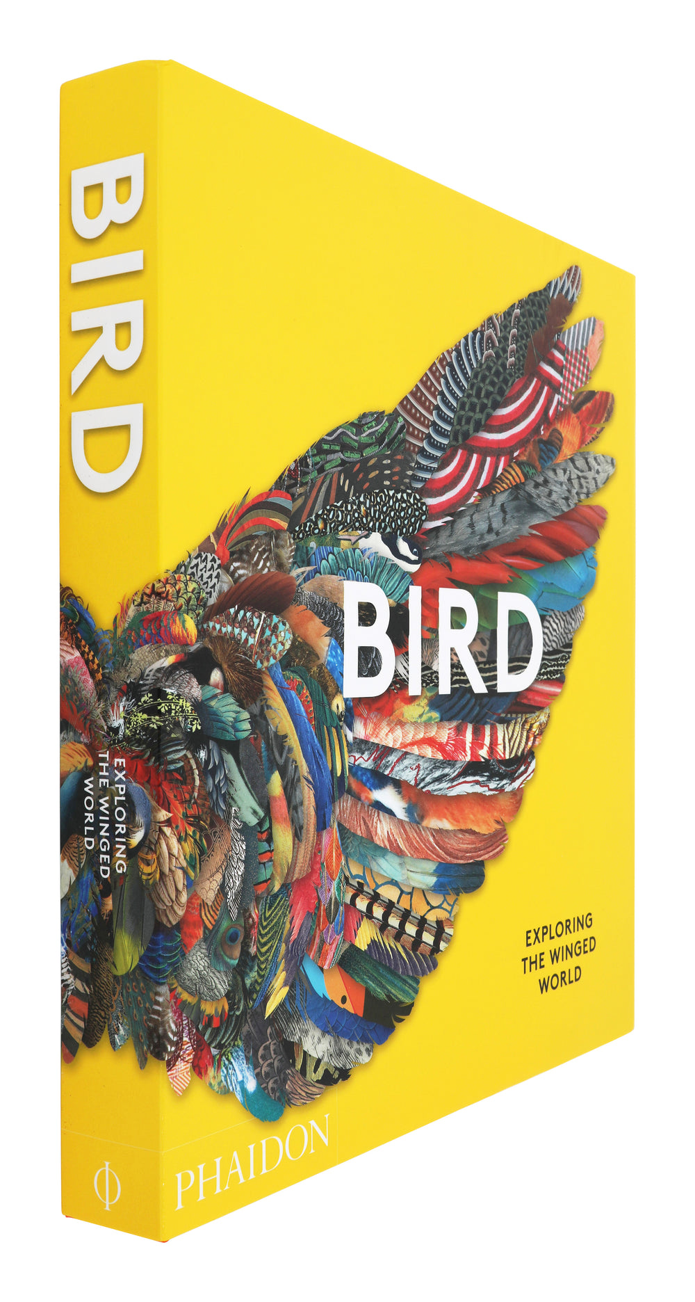 Bird: Exploring the Winged World