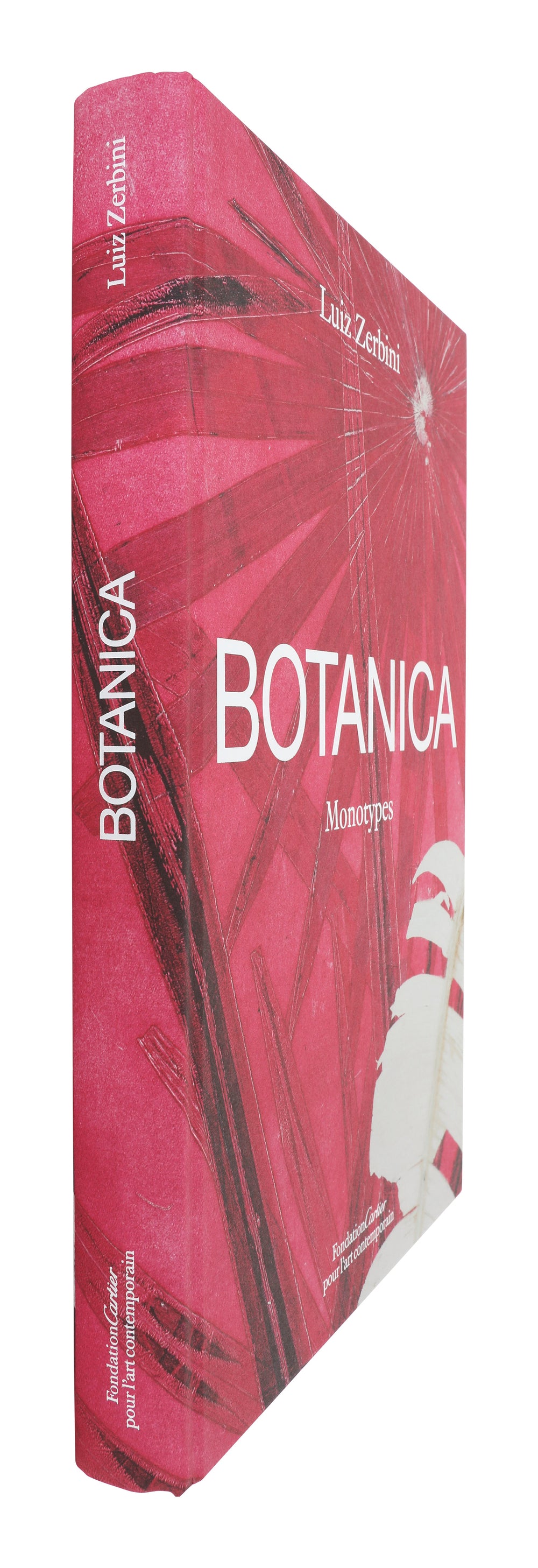 Botanica: Monotypes 2016-2020