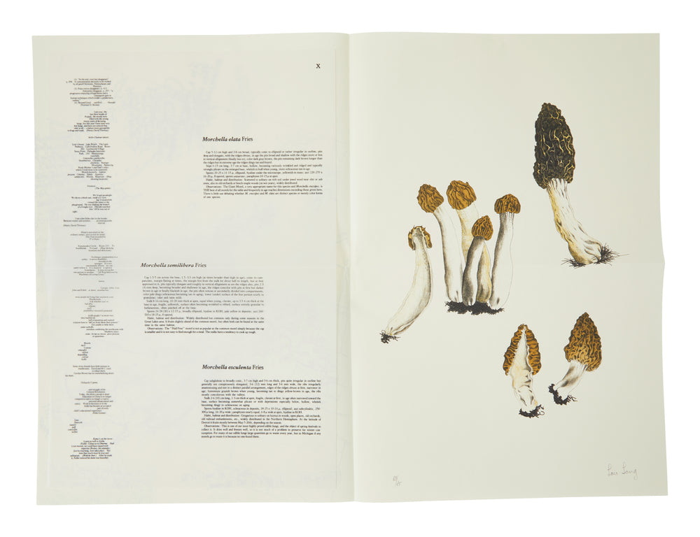 John Cage: A Mycological Foray