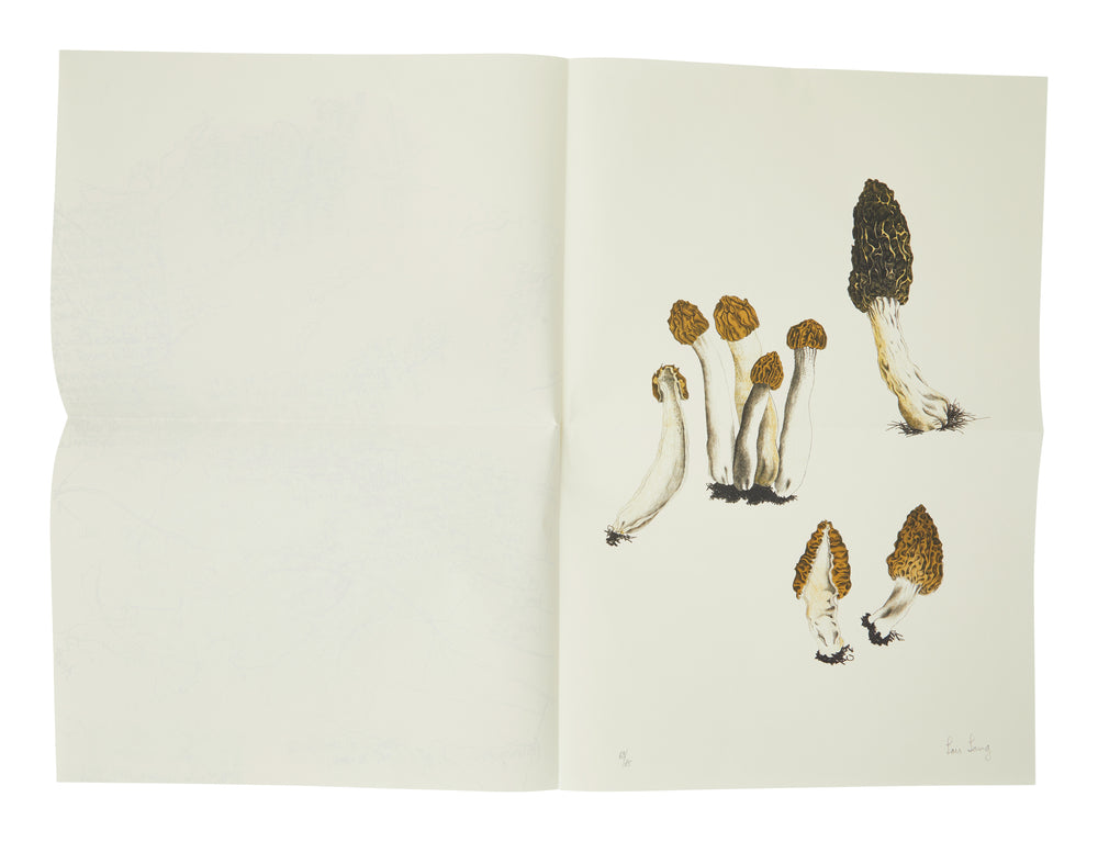 John Cage: A Mycological Foray