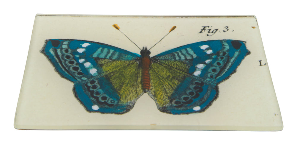 Blue Butterfly Tray #3