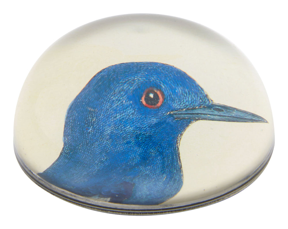 Dial Bird Paperweight