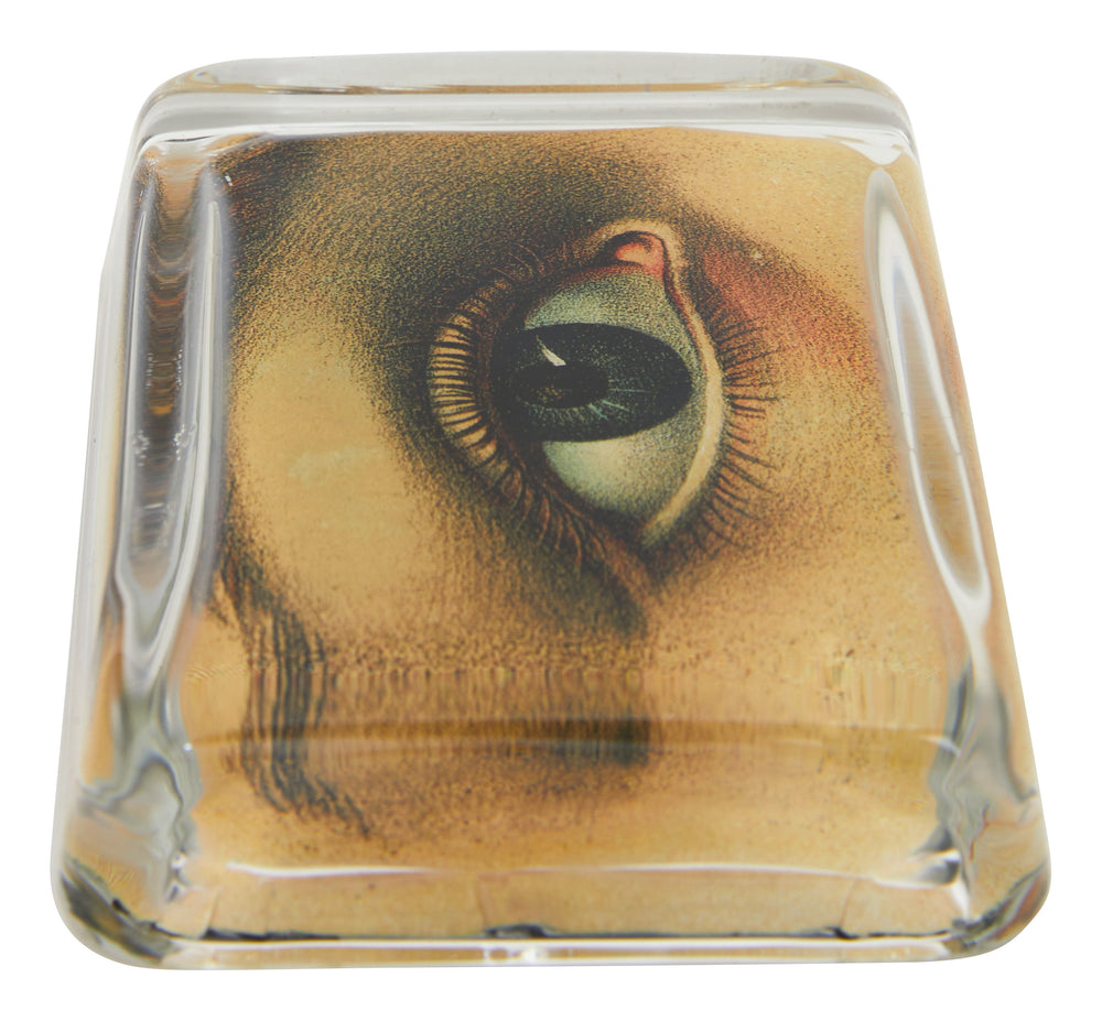 Right Eye XL Paperweight