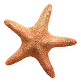 Madder Starfish