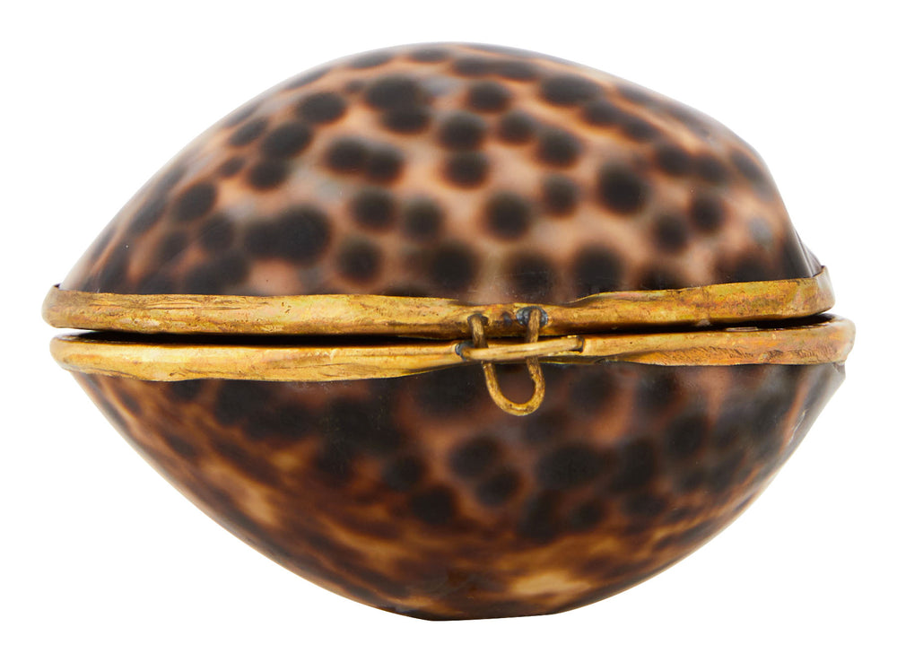 Cowrie Shell Stash Box