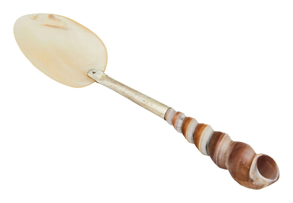 Shell Spoons