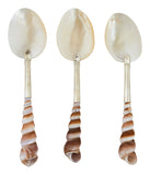 Shell Spoons