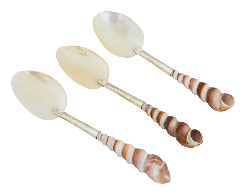 Shell Spoons