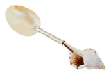 Shell Spoons