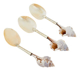 Shell Spoons