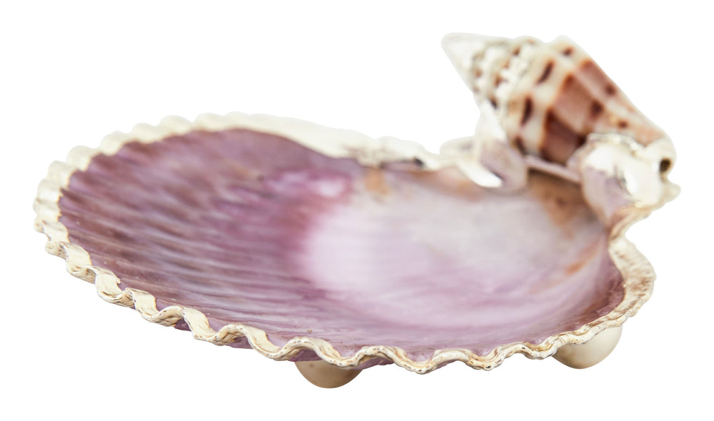 Pecten Noblis Plate