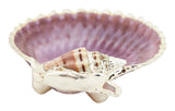 Pecten Noblis Plate