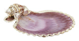 Pecten Noblis Plate