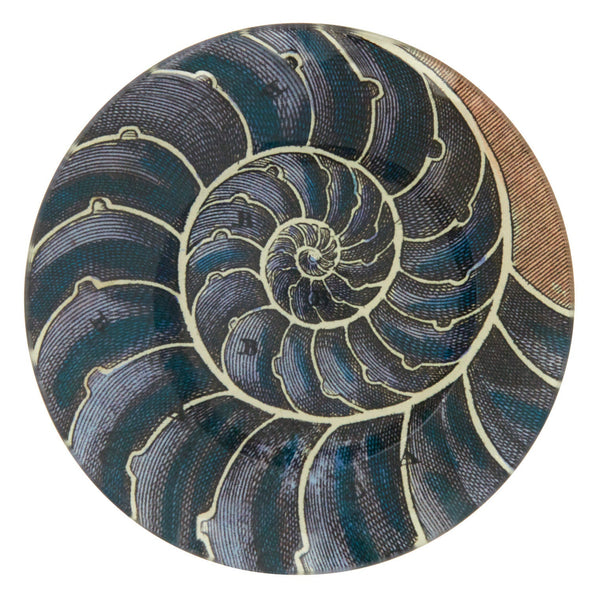 Blue Nautilus Plate