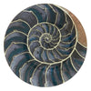 Blue Nautilus Plate