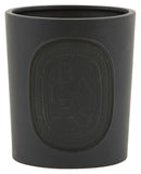 Diptyque Baies Ceramic Candle