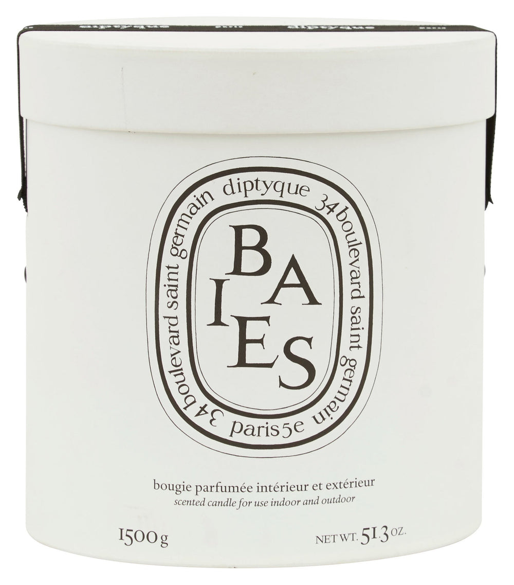 Diptyque Baies Ceramic Candle