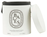 Diptyque Baies Ceramic Candle